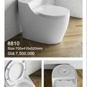 Bồn cầu 02