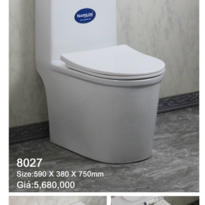 Bồn cầu 05