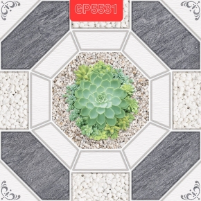 Gạch Lát sân vườn  50x50 11