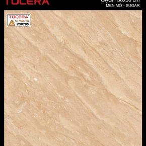 Gạch lát nền 30x30 09