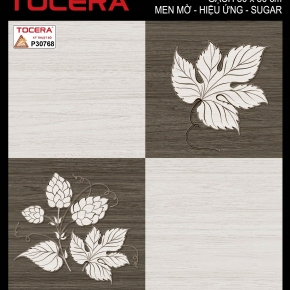 Gạch lát nền 30x30 08