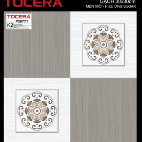Gạch lát nền 30x30 10