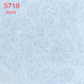 Gạch Lát Nền 50x50 05