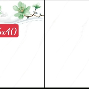 Gạch ốp tường 25x40 05