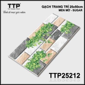 Gạch Trang Trí 05