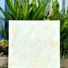 Gạch Lát Nền 1MX1M 27